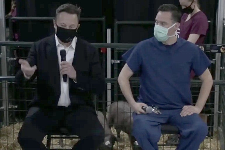 ****داخليه ***** Elon Musk presenting during the 2020 demo. Neuralink YouTube